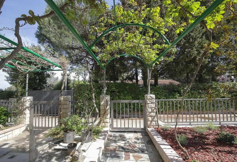 Apartments Villa Sofia