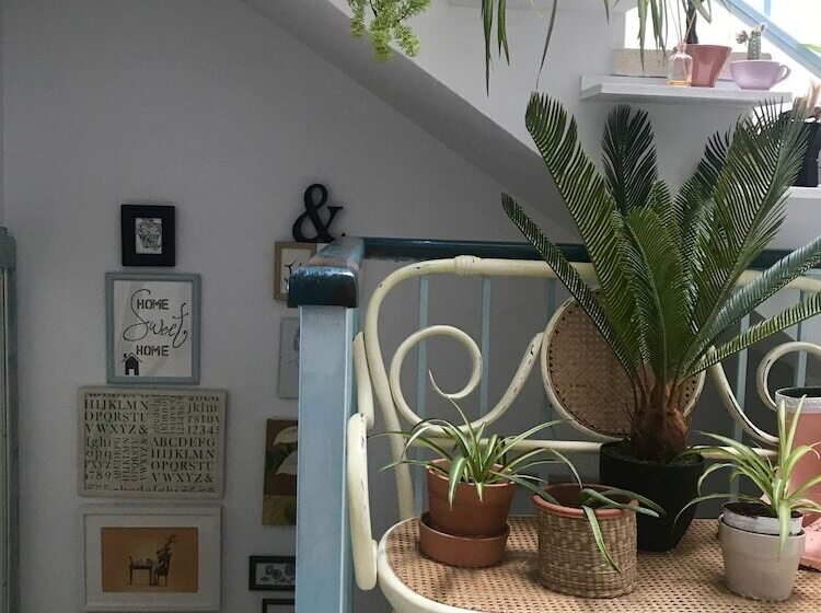 El Patio Del Limonero