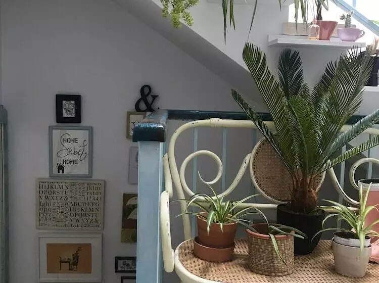 El Patio Del Limonero