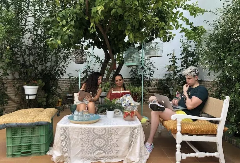 El Patio Del Limonero