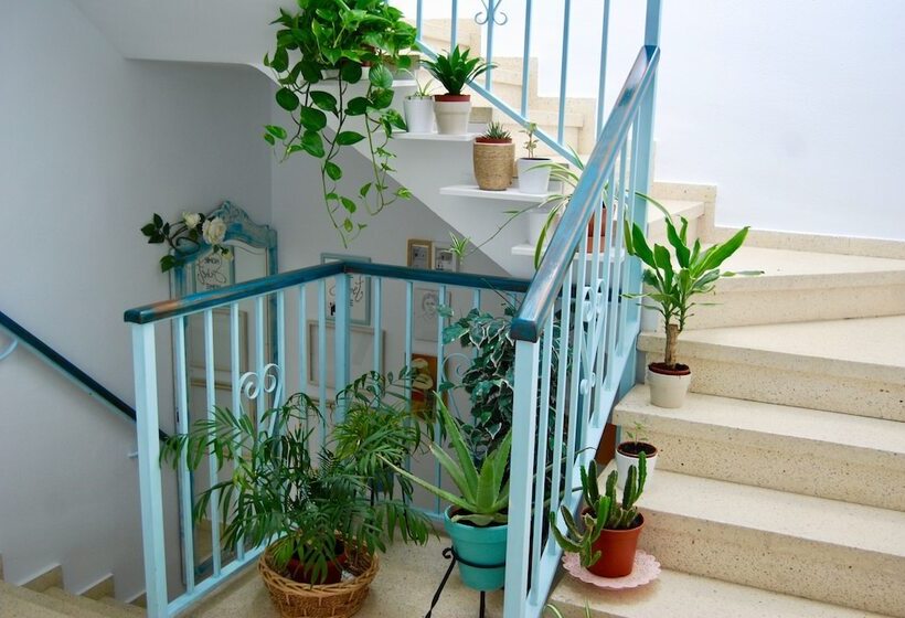 El Patio Del Limonero