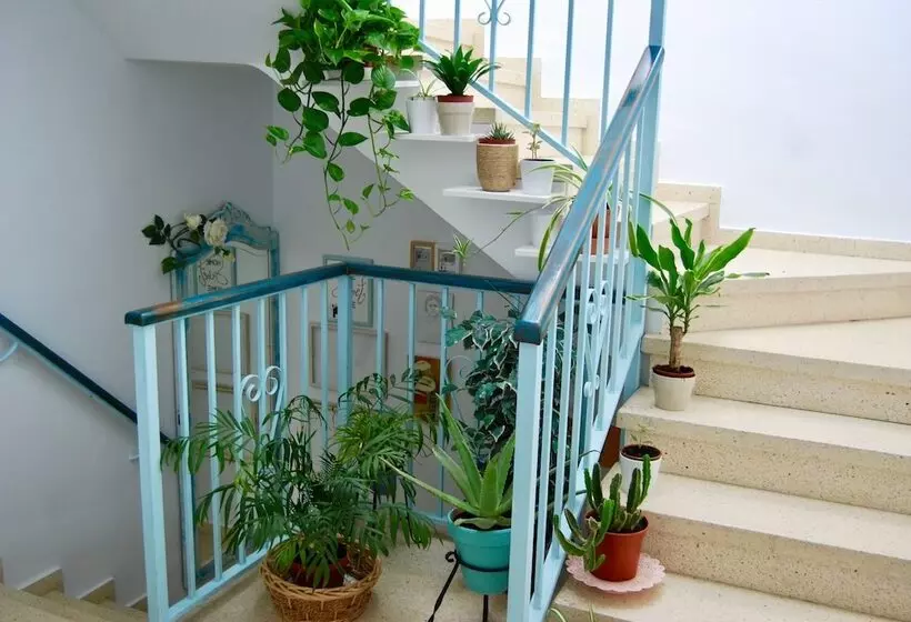 El Patio Del Limonero