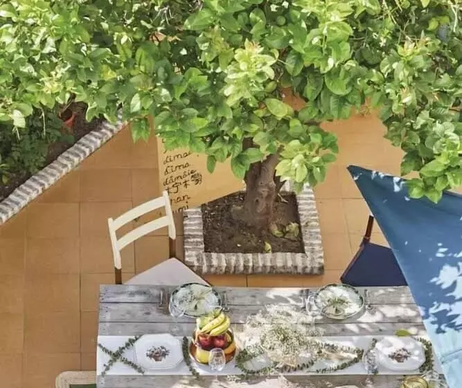 El Patio Del Limonero