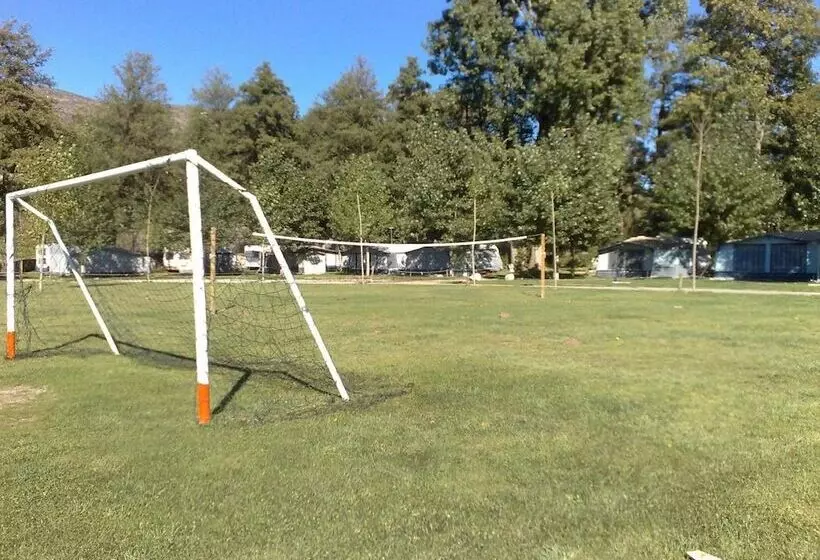 ホテル Solana Del Segre   Campsite