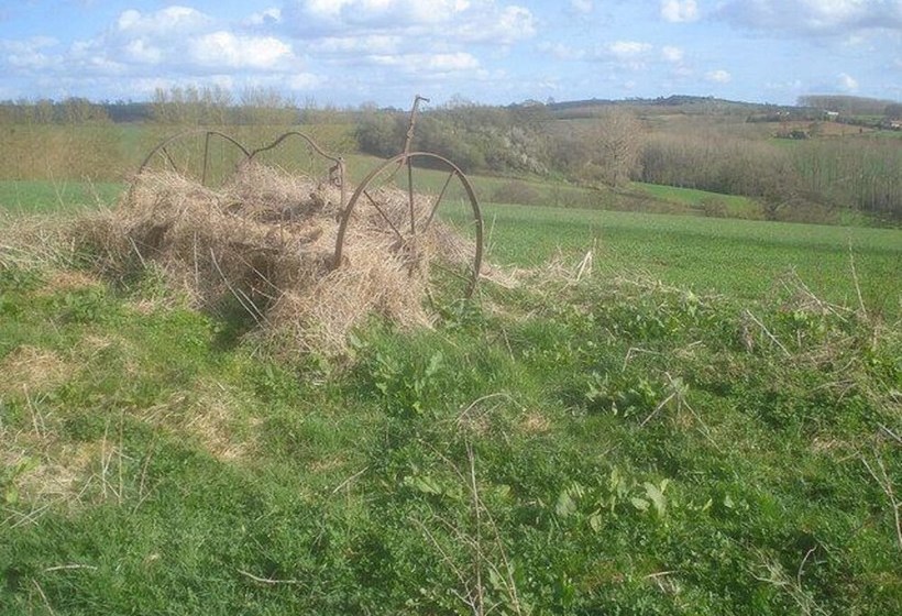 Hampton Wafre Cottage