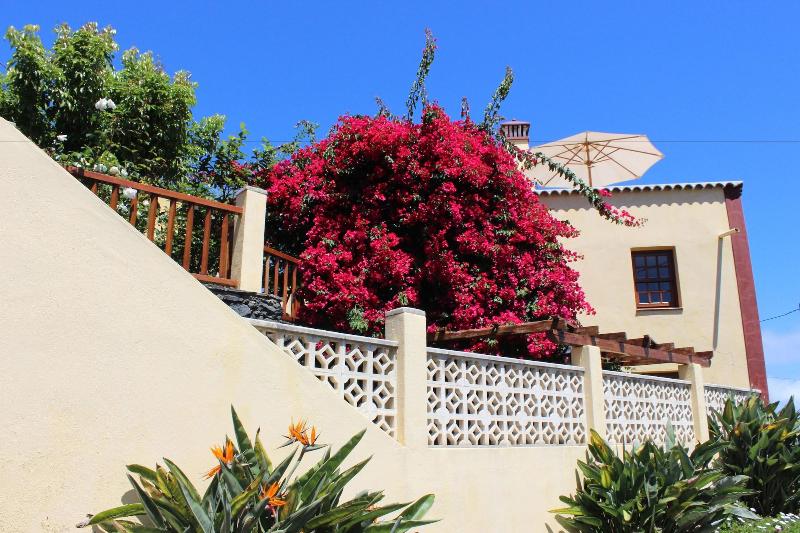 Los Nacientes Cordero By Isla Bonita