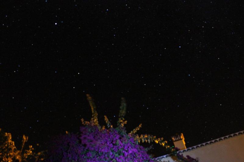 Los Nacientes Cordero By Isla Bonita