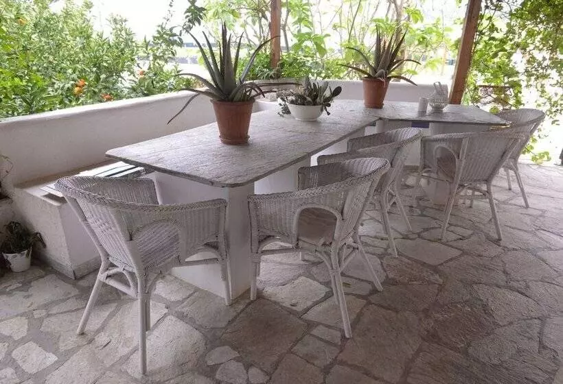 Palmina Mare Villa And Studios