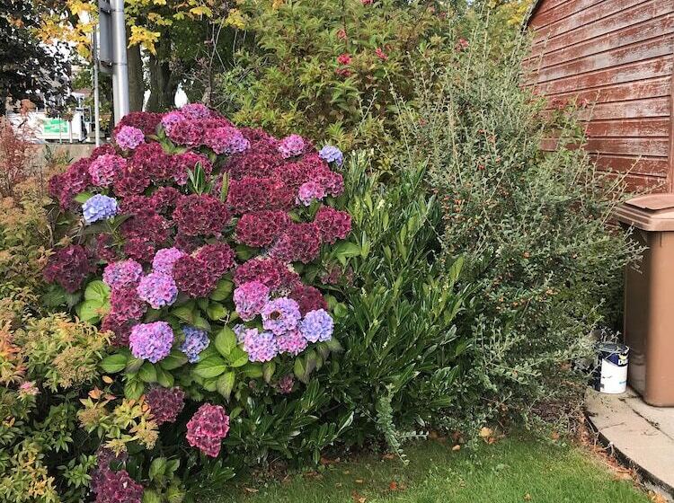 膳宿费 Beeches Guest House