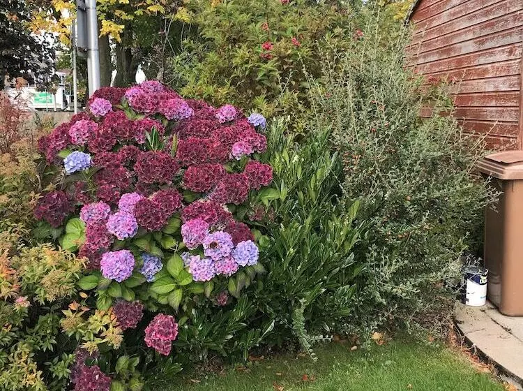 Majatalo Beeches Guest House