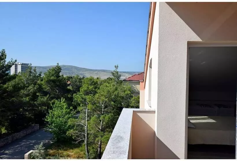 Apartments Branka
