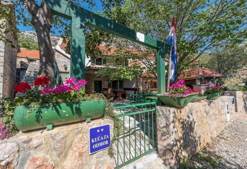 Holiday Home Role   Retro