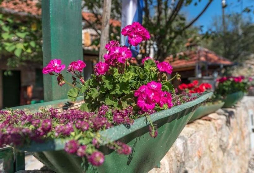 Holiday Home Role   Retro