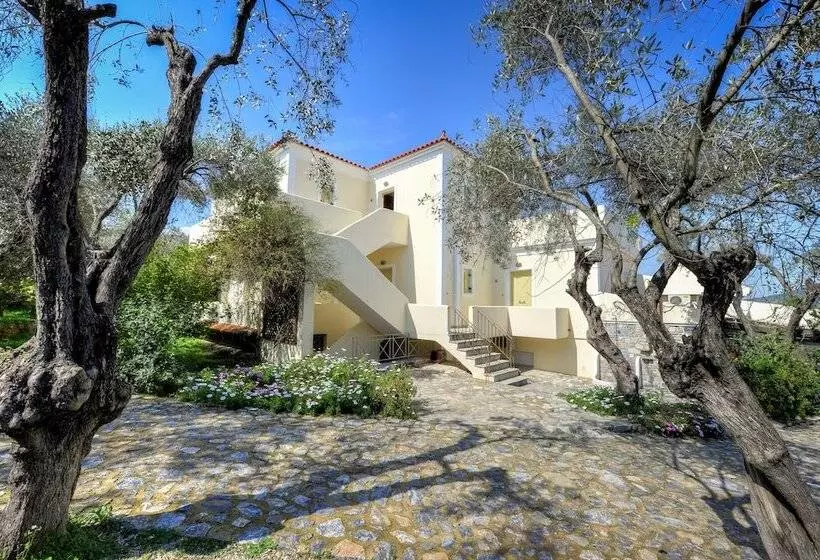 پانسیون Gera S Olive Grove