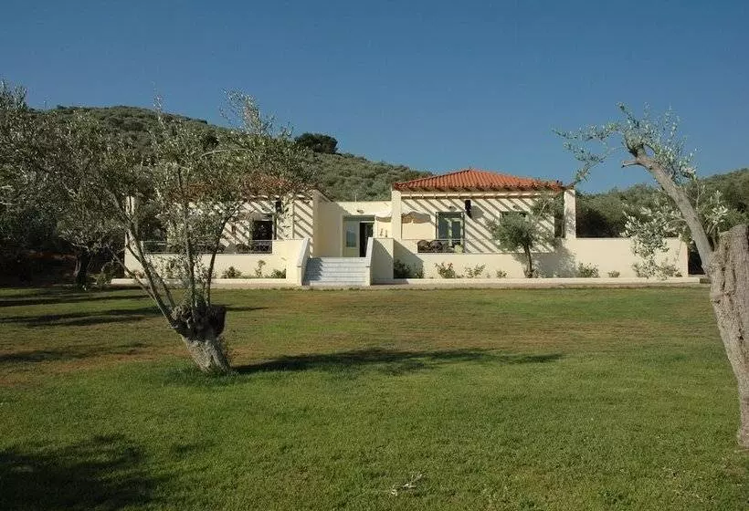 پانسیون Gera S Olive Grove