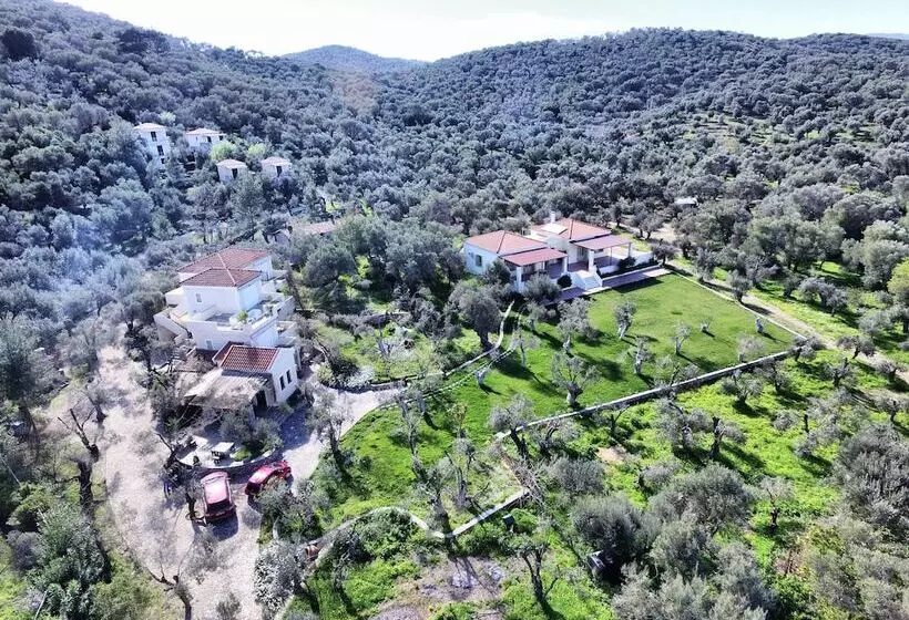 پانسیون Gera S Olive Grove