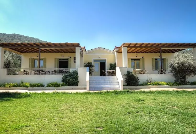 پانسیون Gera S Olive Grove