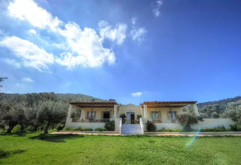 پانسیون Gera S Olive Grove