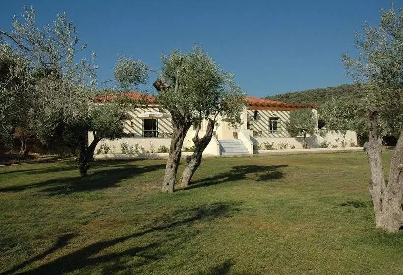 پانسیون Gera S Olive Grove