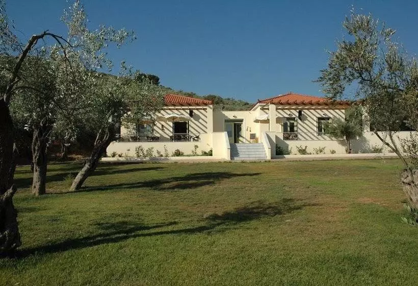 پانسیون Gera S Olive Grove