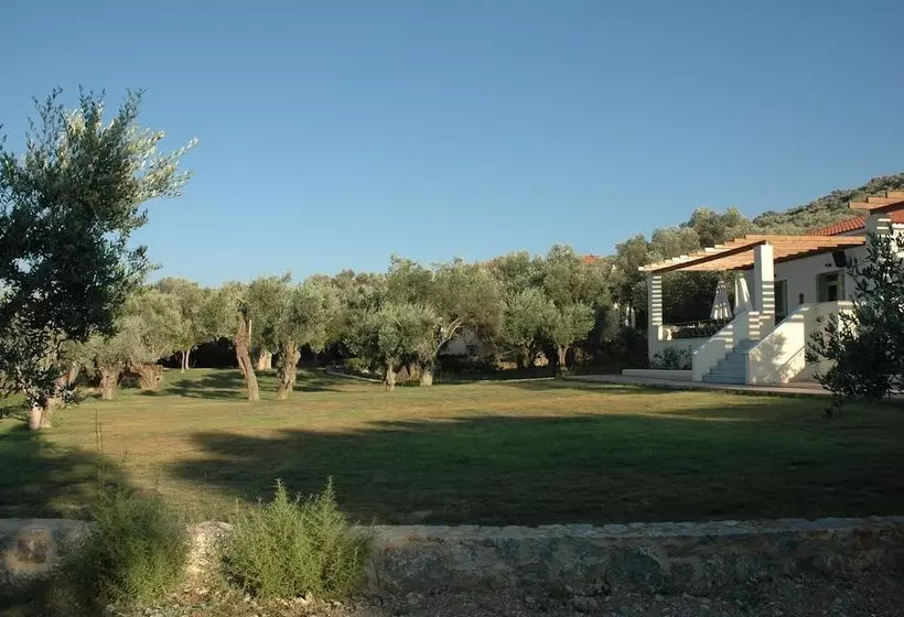پانسیون Gera S Olive Grove