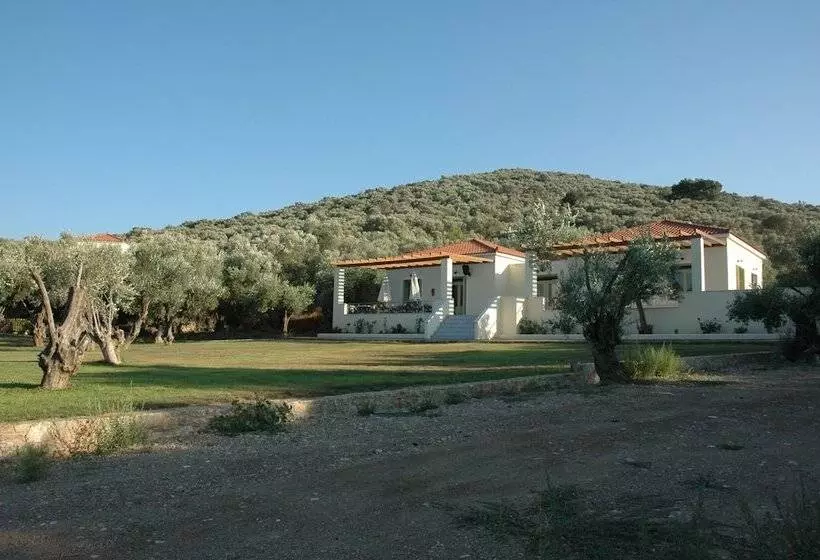 پانسیون Gera S Olive Grove