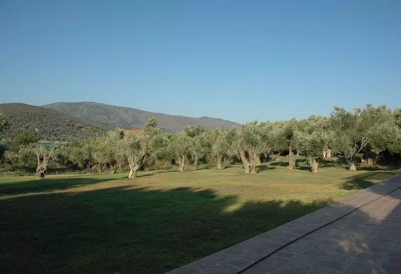 پانسیون Gera S Olive Grove