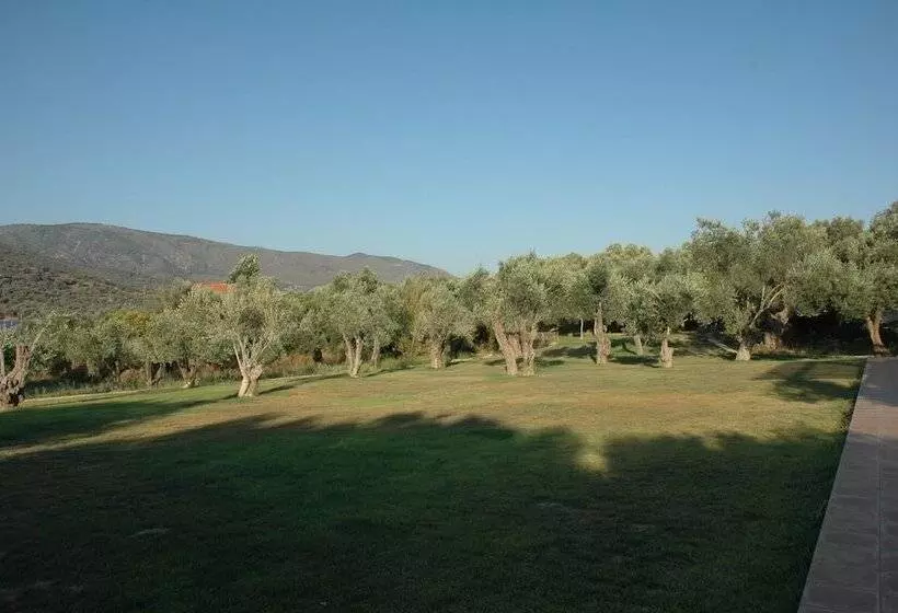 پانسیون Gera S Olive Grove