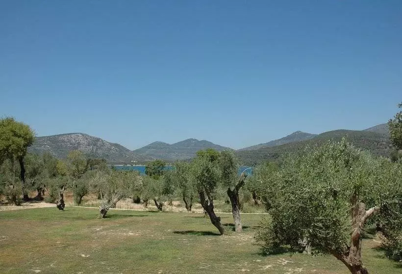 پانسیون Gera S Olive Grove