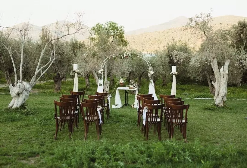 پانسیون Gera S Olive Grove