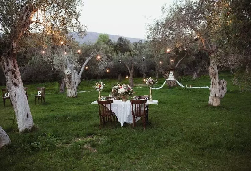 پانسیون Gera S Olive Grove