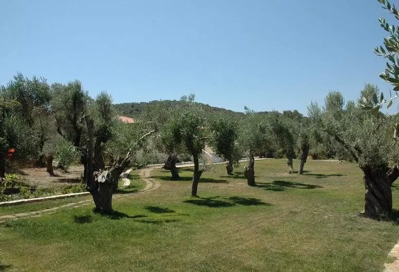 پانسیون Gera S Olive Grove