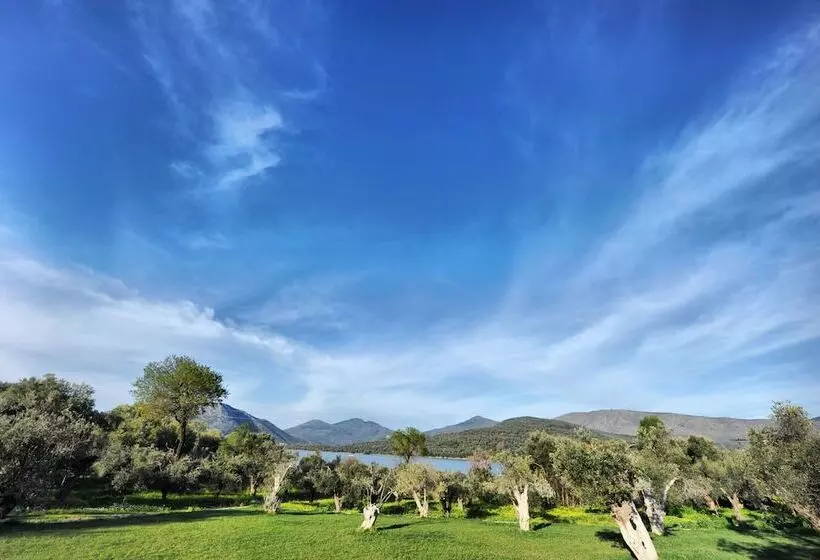 پانسیون Gera S Olive Grove