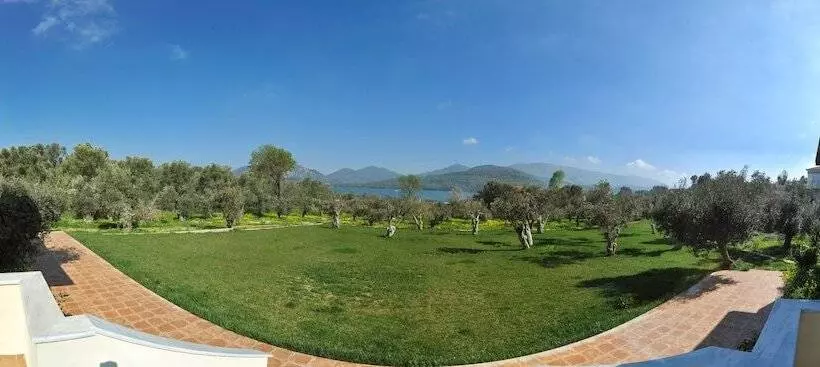 پانسیون Gera S Olive Grove