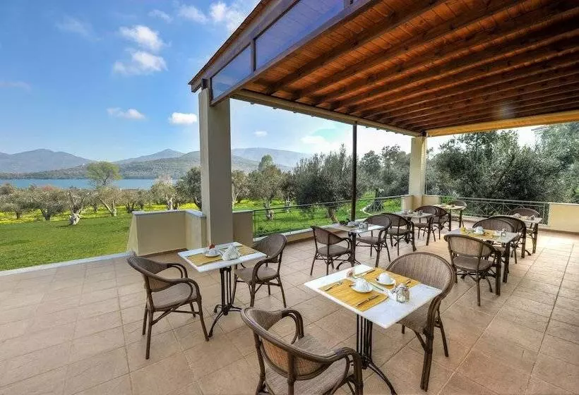 پانسیون Gera S Olive Grove