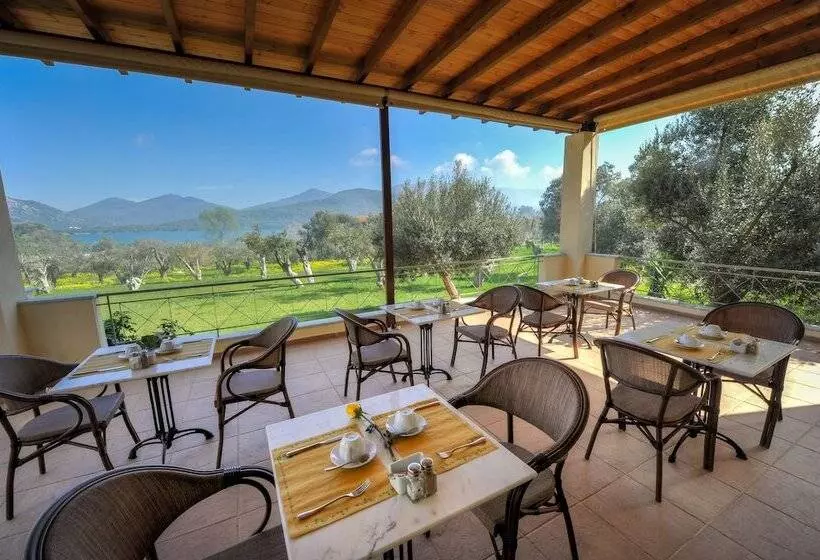 پانسیون Gera S Olive Grove