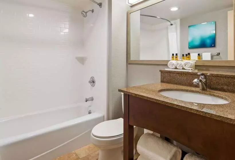 酒店 Best Western Plus Indianapolis Nw