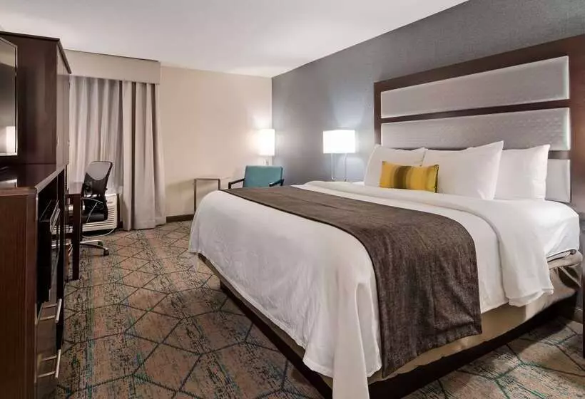 酒店 Best Western Plus Indianapolis Nw