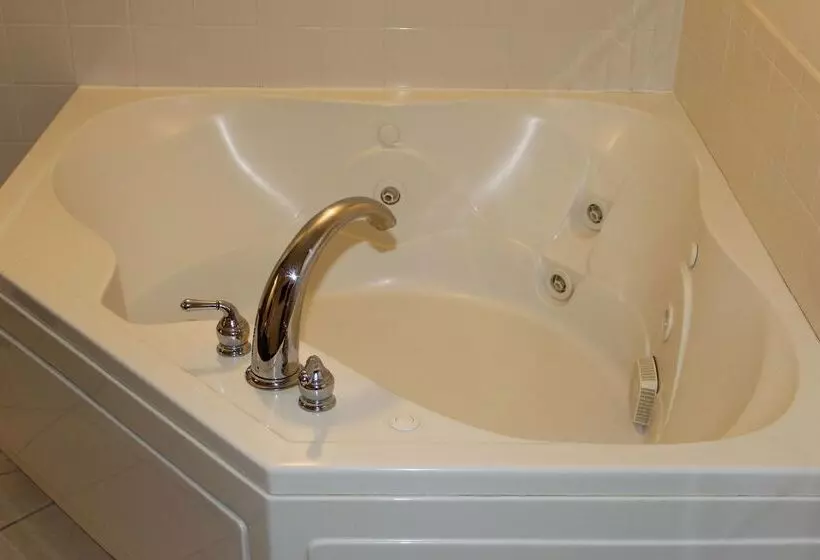 Отель Best Western Plus Yadkin Valley Inn & Suites