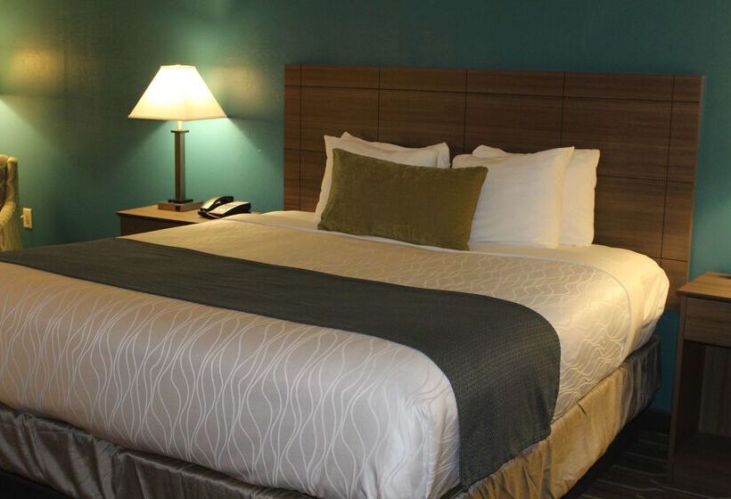 فندق Best Western Plus Yadkin Valley Inn & Suites