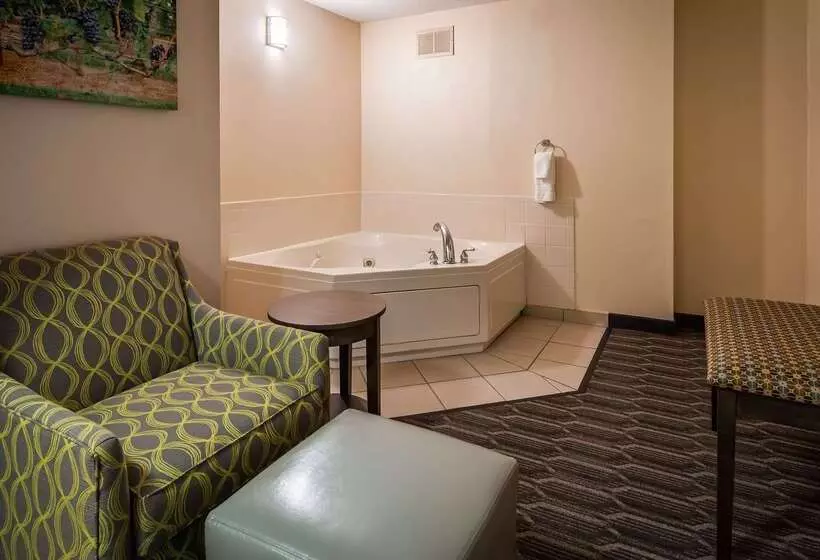 Отель Best Western Plus Yadkin Valley Inn & Suites