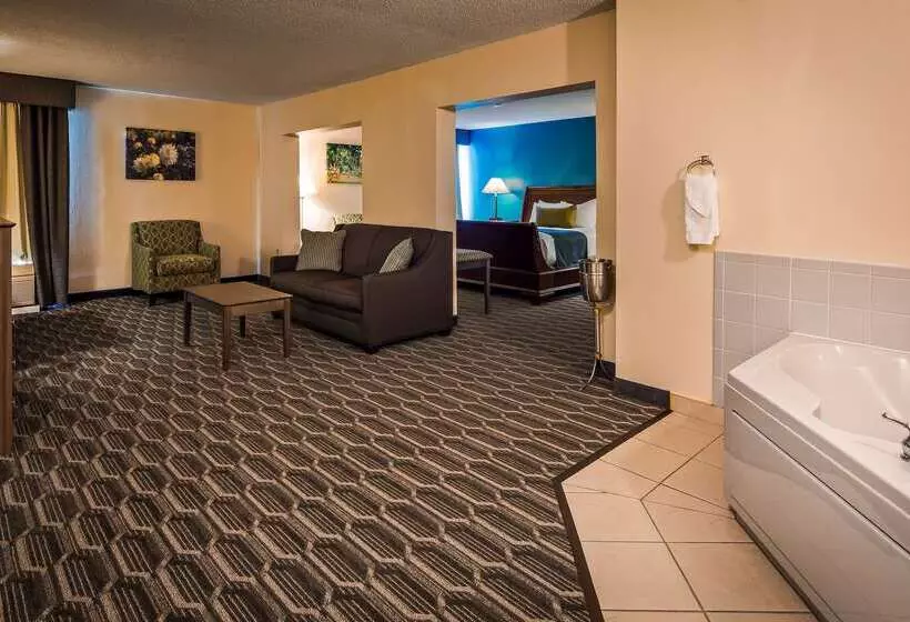 Отель Best Western Plus Yadkin Valley Inn & Suites