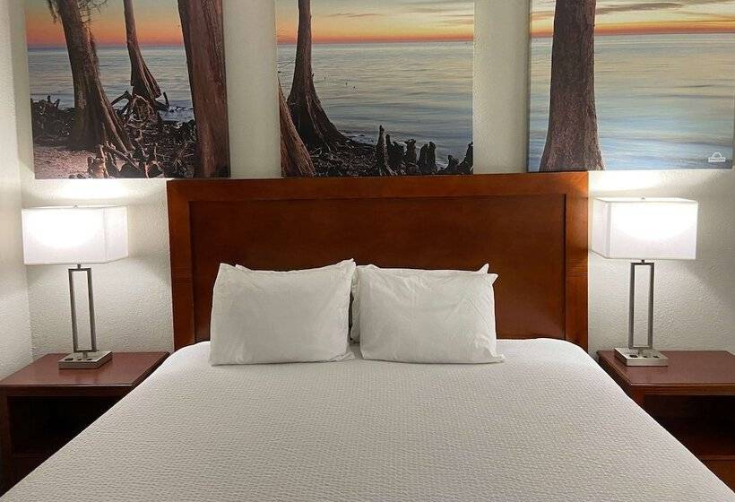 Hotel Days Inn By Wyndham Ozark