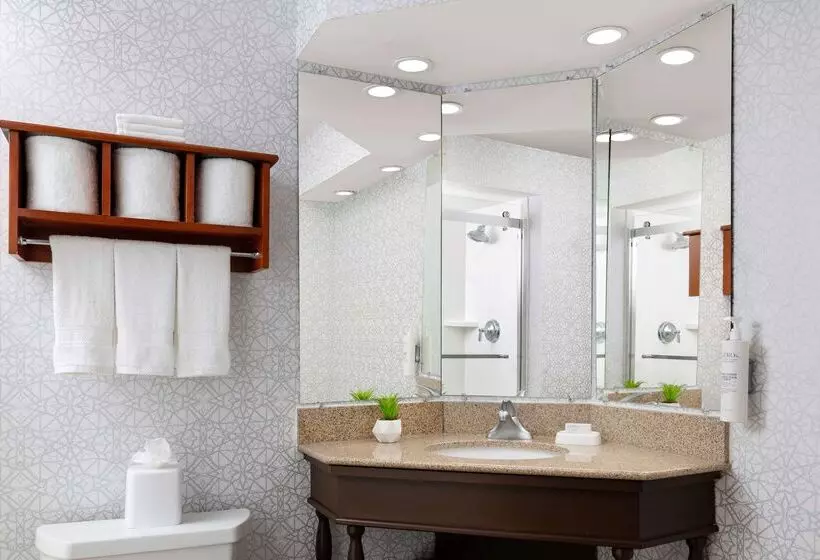 Hotelli Hampton Inn Memphiswalnut Grove/baptist Hospital East