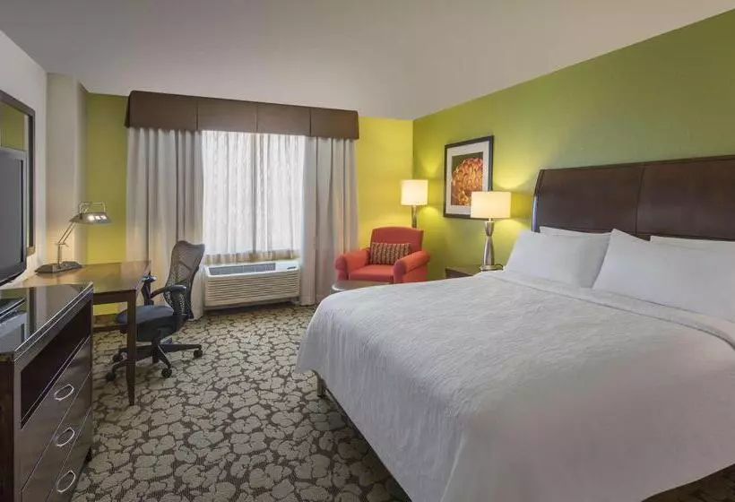 Otel Hilton Garden Inn Denver South Park Meadows Area