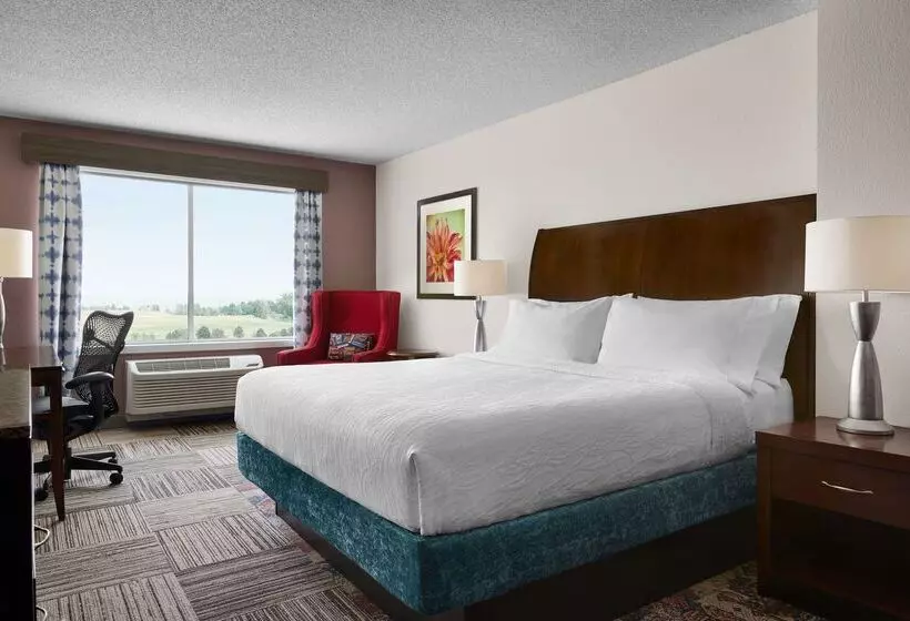 Otel Hilton Garden Inn Denver South Park Meadows Area