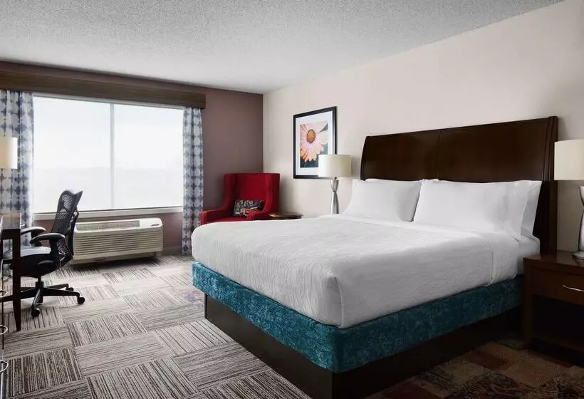 Otel Hilton Garden Inn Denver South Park Meadows Area