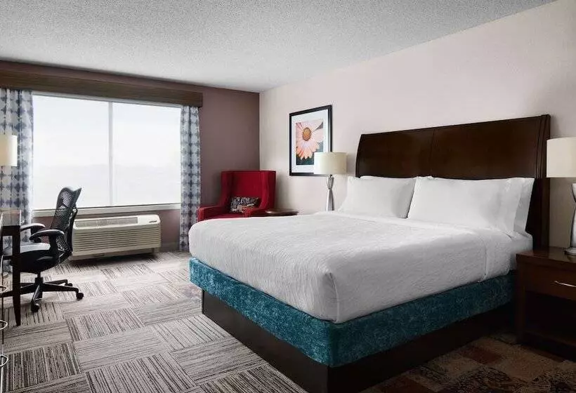 Otel Hilton Garden Inn Denver South Park Meadows Area