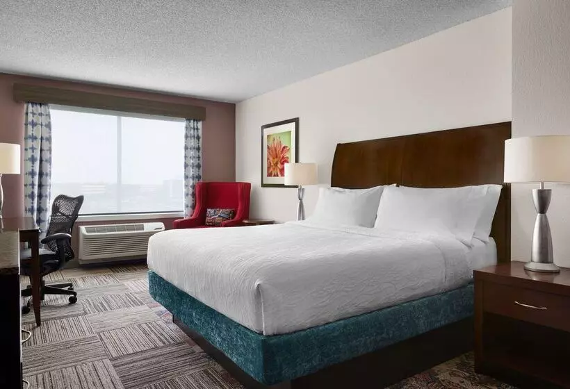 Otel Hilton Garden Inn Denver South Park Meadows Area