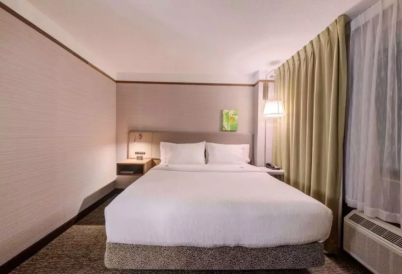 فندق Hilton Garden Inn Detroit   Southfield, Mi